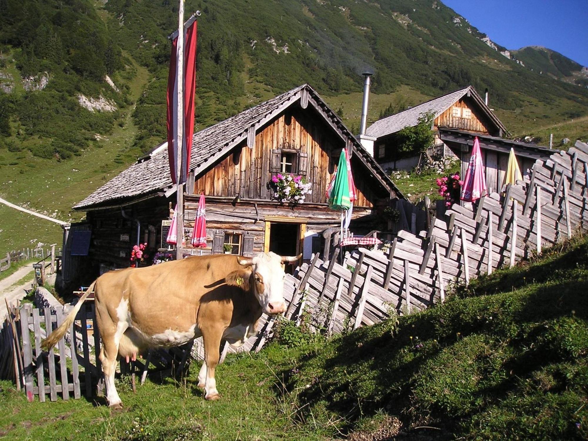 Ferienwohnung Renate Hubner Gosau Esterno foto